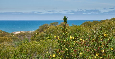 API Preston Beach Front Apartments - Port Augusta Accommodation 2