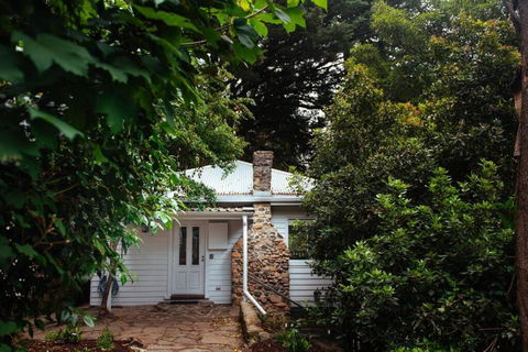Luxury Treetop Escape With A Garden Glasshouse - Port Augusta Accommodation 3