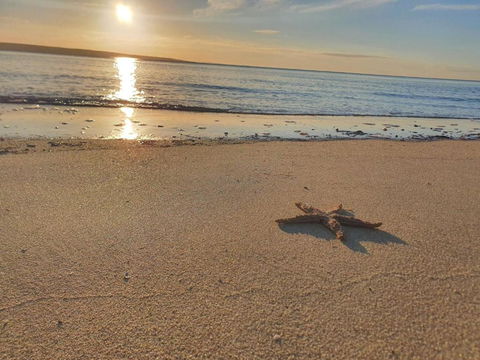 Matildas Of Kangaroo Island - Port Augusta Accommodation 1