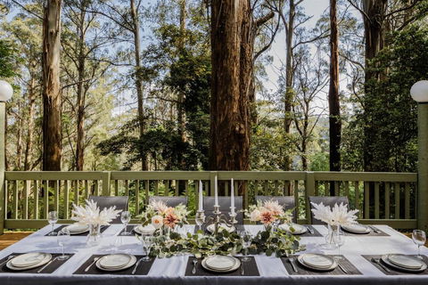 Modern Seednest Treehouse, Forest & Mountain View - Port Augusta Accommodation 2