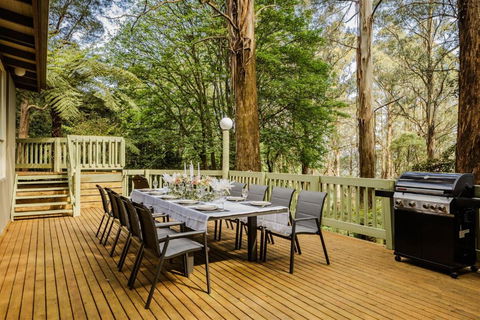 Modern Seednest Treehouse, Forest & Mountain View - Port Augusta Accommodation 1