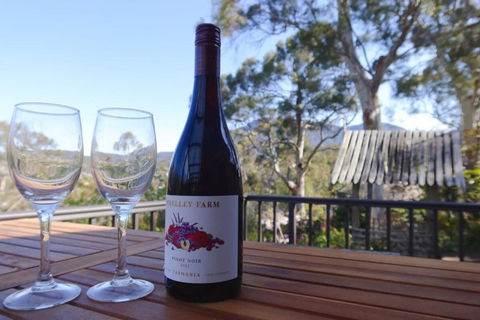 Mountains And Treetops Retreat - Nature Getaway - Port Augusta Accommodation 2