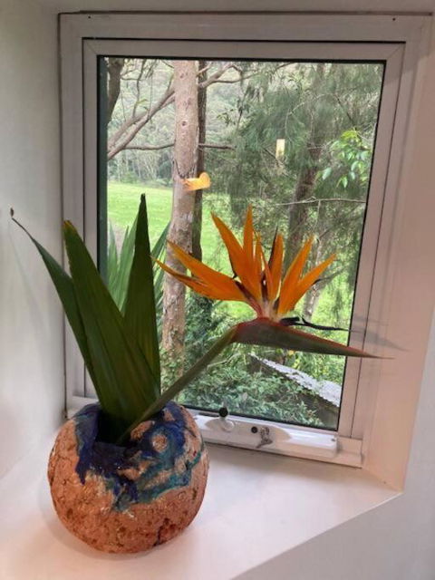 Nature Retreat & Artists Studio 90mins From Sydney - Port Augusta Accommodation 1