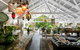 Noosa Valley Manor B&B - thumb 0