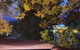Oaktree Guest House - thumb 2
