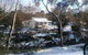 Old Oak Tree Cottage - thumb 1