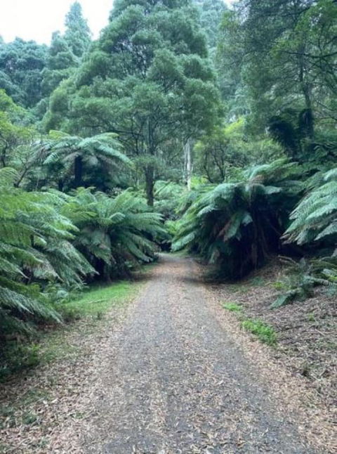 Olinda Enchanted Tower Spa Gas Log Fire And Netflix - Port Augusta Accommodation 1