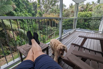 Rainforest Deluxe Bungalow with Port Augusta Accommodation