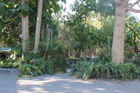 Book Macclesfield Accommodation Vacations Port Augusta Accommodation Port Augusta Accommodation