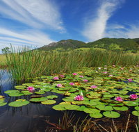 Barrington Hideaway- River Cottages - Port Augusta Accommodation