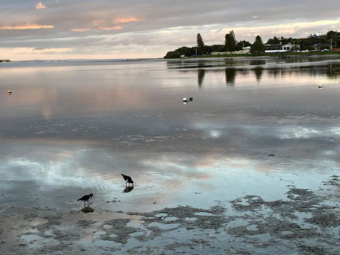 River Studio - Idyllic Location - Port Augusta Accommodation 0