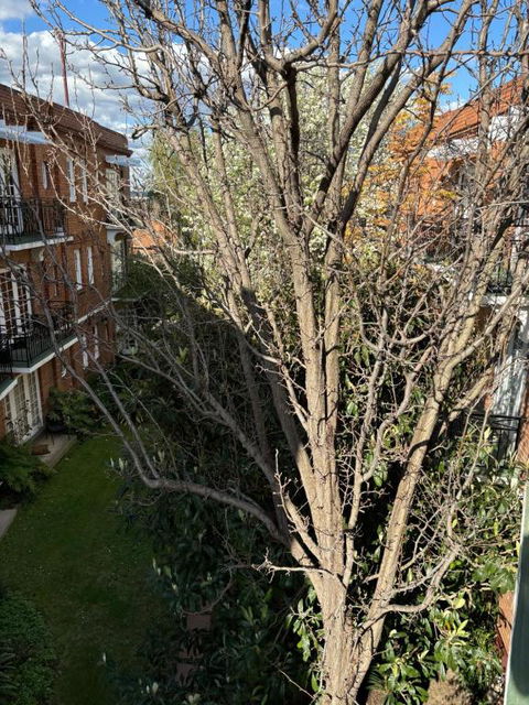 Regents Gate East Melbourne - Port Augusta Accommodation 1