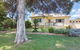 Renovated Beach Beauty Rosebud - thumb 1
