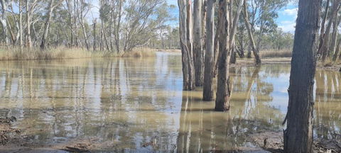 Riversands Rest Accommodation Paringa - River Box Cottage - Port Augusta Accommodation 3