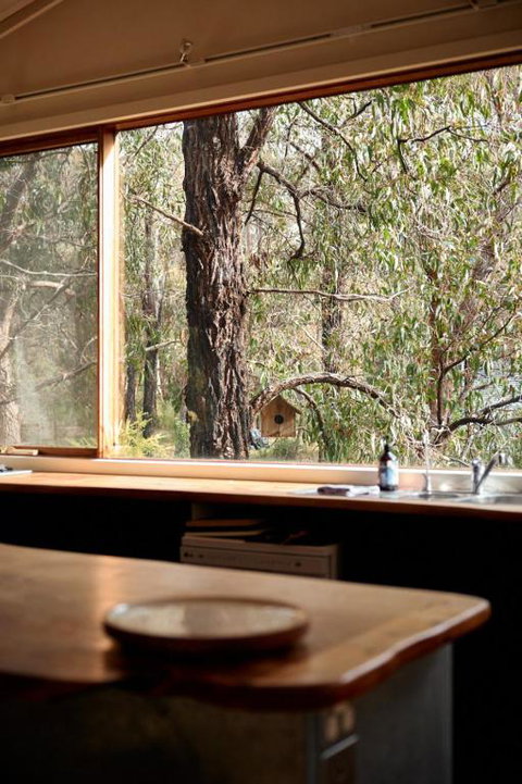 Rustic Treehouse - Aireys Inlet - Port Augusta Accommodation 1