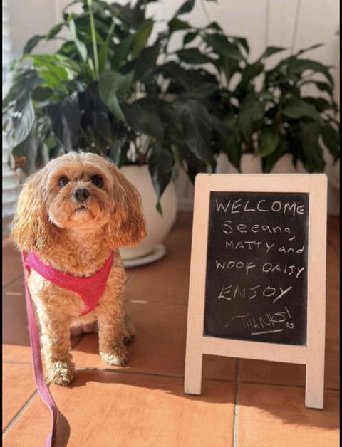 Sapphire Beach Pet Friendly Beach 5 Minute Walk - Port Augusta Accommodation 1
