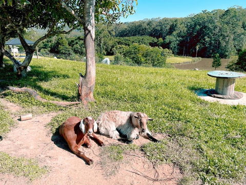 Seven Peaks Farm Stay - Port Augusta Accommodation 2