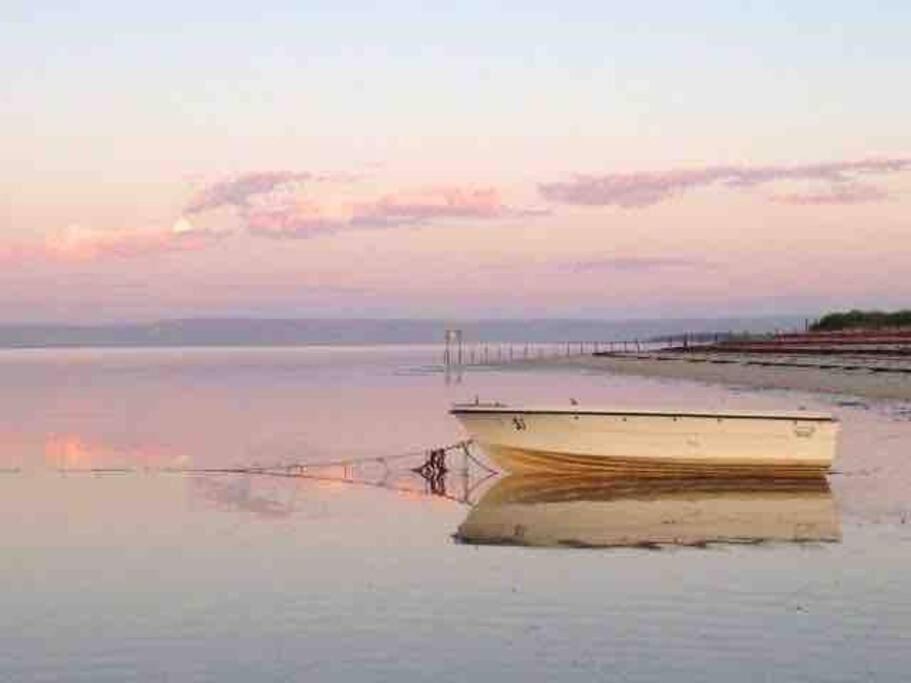 Spear Creek Beach House