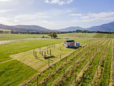 Warburton Tiny House - Tiny Stays - Port Augusta Accommodation 2
