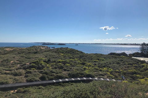 Penguin Island And Fremantle - Canoe, Chocolate & Coffee - Port Augusta Accommodation 0