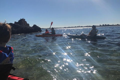 Penguin Island And Fremantle - Canoe, Chocolate & Coffee - Port Augusta Accommodation 1
