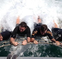Cruise in Moreton Bay Marine Park and Moreton Island - Port Augusta Accommodation