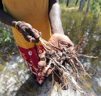Gay-Wu Woman's 5 Day Yolngu Homeland Tour - Port Augusta Accommodation