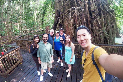 Cairns 4WD Waterfall And Rainforest Tour Including Kuranda Scenic Railway - Port Augusta Accommodation 0