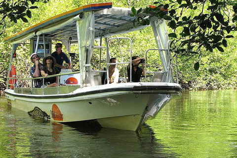 3-Day Best Of Cairns Combo: The Daintree Rainforest, Great Barrier Reef, And Kuranda - Port Augusta Accommodation 4