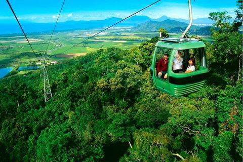 4-Day Cairns Ultimate Combo: Daintree Rainforest, Reef, Kuranda & Paronella Park - Port Augusta Accommodation 1