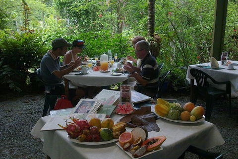 4-Day Cairns Ultimate Combo: Daintree Rainforest, Reef, Kuranda & Paronella Park - Port Augusta Accommodation 4