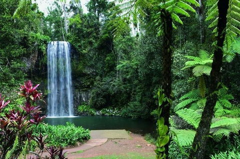 Paronella Park And Millaa Millaa Falls Full-day Tour From Cairns - Port Augusta Accommodation 3