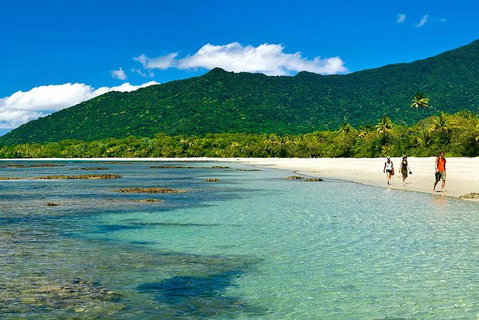 Private Daintree National Park Day Tour From Cairns Including Cape Tribulation And Mossman Gorge - Port Augusta Accommodation 0
