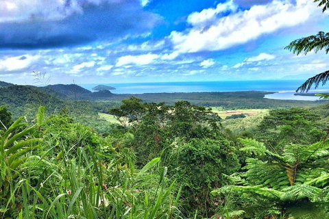 Private Daintree National Park Day Tour From Cairns Including Cape Tribulation And Mossman Gorge - Port Augusta Accommodation 2