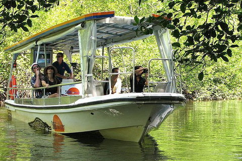 Private Daintree National Park Day Tour From Cairns Including Cape Tribulation And Mossman Gorge - Port Augusta Accommodation 5