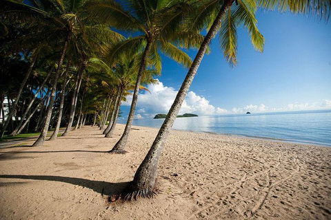 Kuranda Day Trip From Port Douglas Upgrade To Skyrail & Scenic Train Available - Port Augusta Accommodation 1
