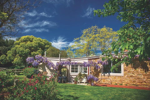 McLaren Vale Winery Small Group Tour With Wine Tasting And Lunch - Port Augusta Accommodation 2