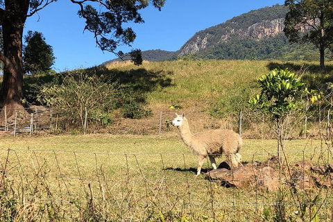 Waterfall Tour - Port Augusta Accommodation 2