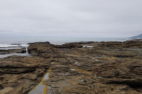 Luxury Private Great Ocean Road Tour Up To 11 People - Entire Vehicle - Port Augusta Accommodation 1