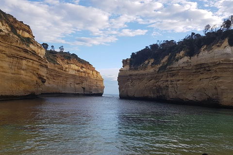 Luxury Private Great Ocean Road Tour Up To 11 People - Entire Vehicle - Port Augusta Accommodation 2
