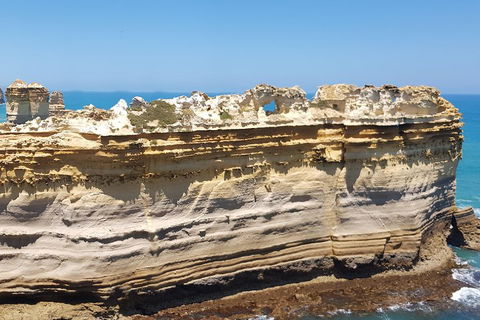 Luxury Private Great Ocean Road Tour Up To 11 People - Entire Vehicle - Port Augusta Accommodation 4