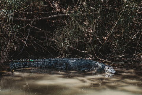 Kakadu Full-Day Tour From Darwin With Lunch - Port Augusta Accommodation 4