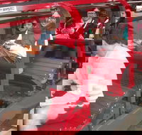 Full-Day Private Blue Mountains Tour with River Cruise