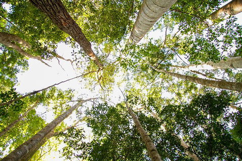 Fraser Island 4WD Tour From Noosa - Port Augusta Accommodation 0