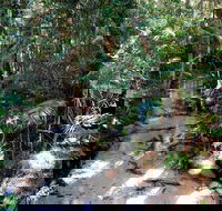 Fraser Island 4WD Tour from Rainbow Beach - Port Augusta Accommodation
