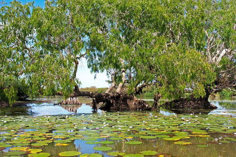 Ethical Adventures - Best In The WET - Litchfield / Kakadu 3 Day- Max 10 Guests - Port Augusta Accommodation 1