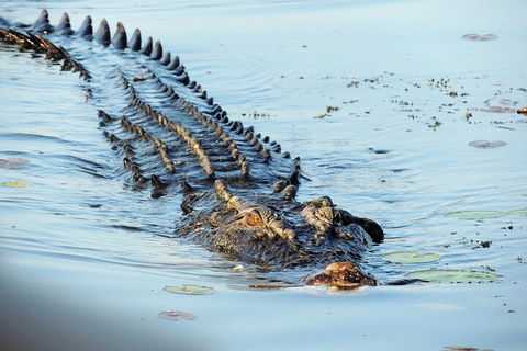 Ethical Adventures - Best In The WET - Litchfield / Kakadu 3 Day- Max 10 Guests - Port Augusta Accommodation 4