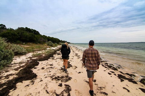 Phillip Island And French Island Wildlife Expedition - Port Augusta Accommodation 1