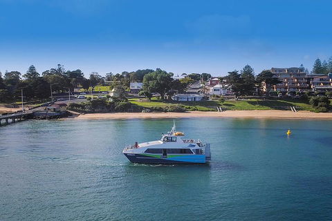 Phillip Island And French Island Wildlife Expedition - Port Augusta Accommodation 2