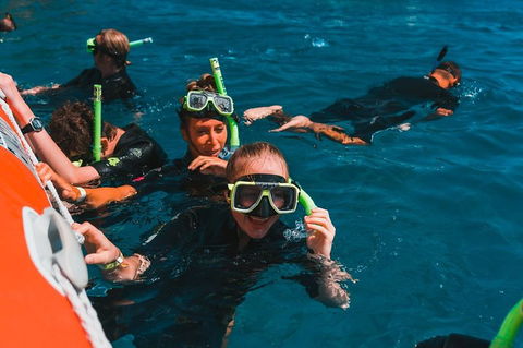 Whitehaven Beach And Hill Inlet Lookout Full-Day Snorkeling Cruise By High-Speed Catamaran - Port Augusta Accommodation 3
